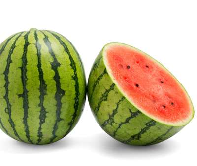Nanoor F1, Wassermelone