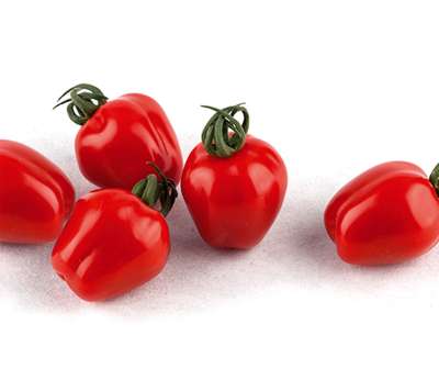 Tomate Appleberry Red PhR F1