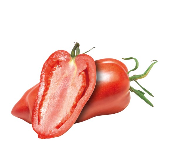 Tomate Andenhorn sel. Anca