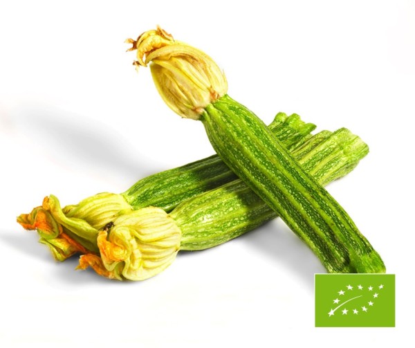Costata Romanesco Zucchini BIO