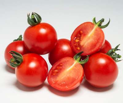 Tomate Golotyna F1