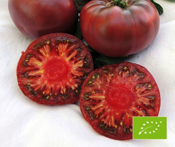 Tomate Tschernij Prinz BIO