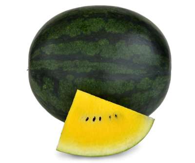 Letosun F1, Wassermelone