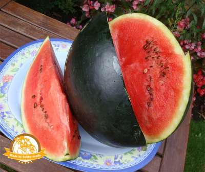 Thora Wassermelone