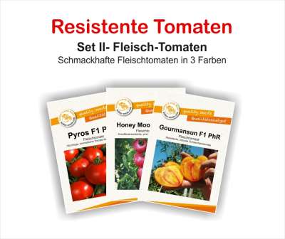Resistente Tomaten Set II Fleisch-Tomaten